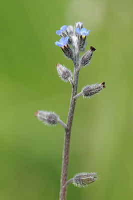 BUITEN BEELD Foto: 89067