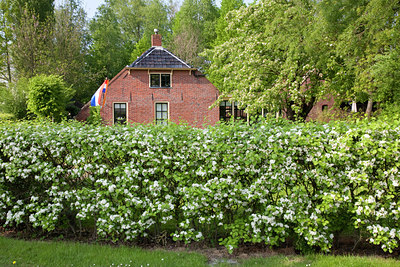 BUITEN BEELD Foto: 89105