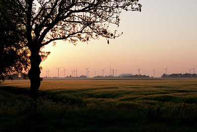 BUITEN BEELD Foto: 89113