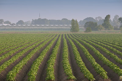 BUITEN BEELD Foto: 89127
