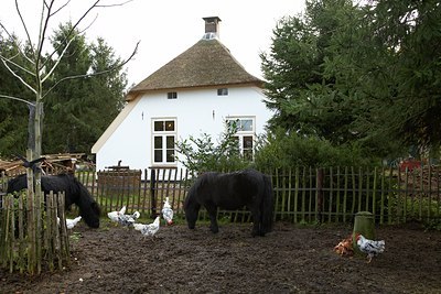 BUITEN BEELD Foto: 89141