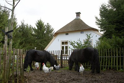 BUITEN BEELD Foto: 89142