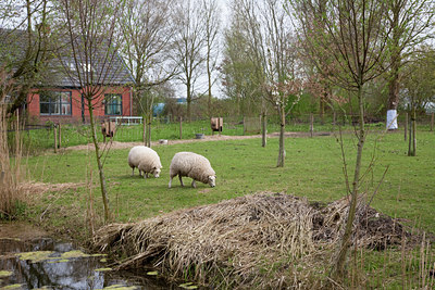 BUITEN BEELD Foto: 89157