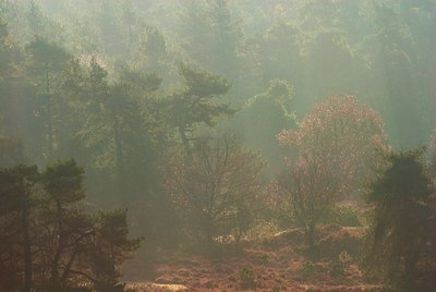 BUITEN BEELD Foto: 89170