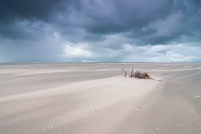 BUITEN BEELD Foto: 89186