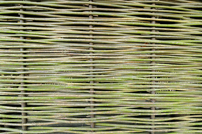 BUITEN BEELD Foto: 89206