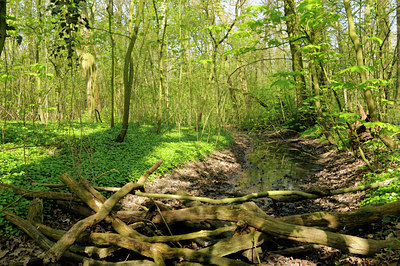 BUITEN BEELD Foto: 89209