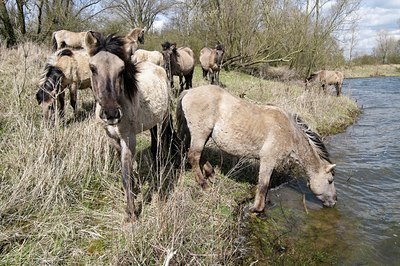 BUITEN BEELD Foto: 89248