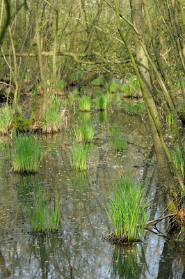 BUITEN BEELD Foto: 89257