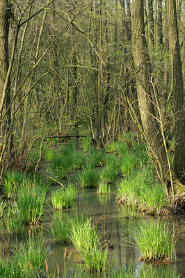 BUITEN BEELD Foto: 89259
