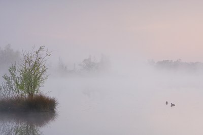 BUITEN BEELD Foto: 89277