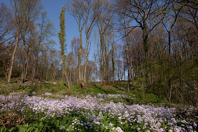 BUITEN BEELD Foto: 89281