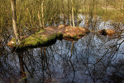 BUITEN BEELD Foto: 89323