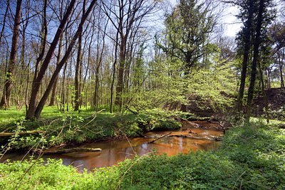 BUITEN BEELD Foto: 89355