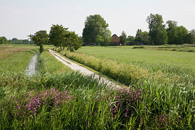 BUITEN BEELD Foto: 89360