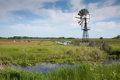 BUITEN BEELD Foto: 89363