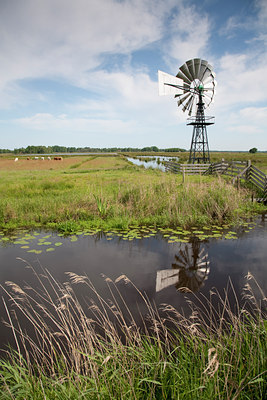 BUITEN BEELD Foto: 89364
