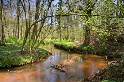 BUITEN BEELD Foto: 89365