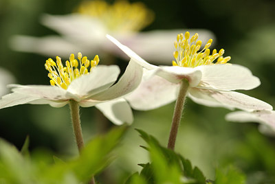 BUITEN BEELD Foto: 89372