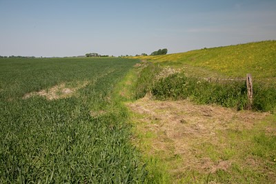 BUITEN BEELD Foto: 89375