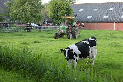 BUITEN BEELD Foto: 89381