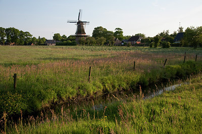 BUITEN BEELD Foto: 89382