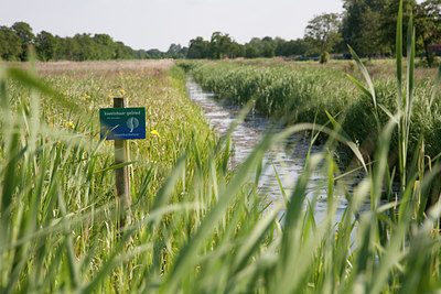 BUITEN BEELD Foto: 89390