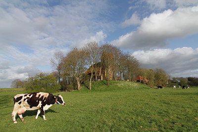 BUITEN BEELD Foto: 89398