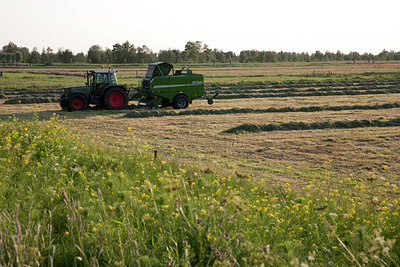 BUITEN BEELD Foto: 89403
