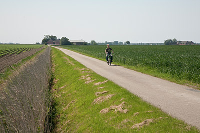 BUITEN BEELD Foto: 89408