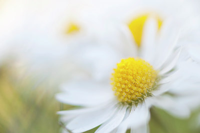 BUITEN BEELD Foto: 89413