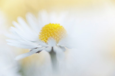 BUITEN BEELD Foto: 89421