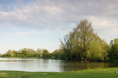 BUITEN BEELD Foto: 89466