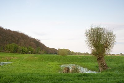 BUITEN BEELD Foto: 89469