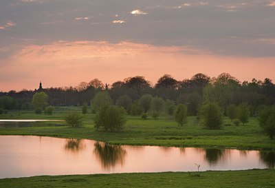 BUITEN BEELD Foto: 89470