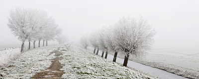 BUITEN BEELD Foto: 89482