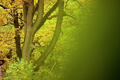 BUITEN BEELD Foto: 89507