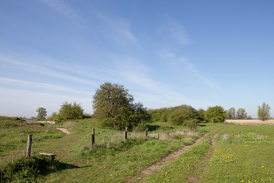 BUITEN BEELD Foto: 89551