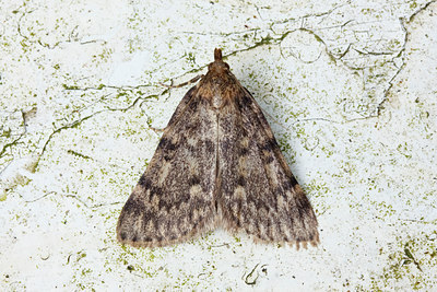 BUITEN BEELD Foto: 89581