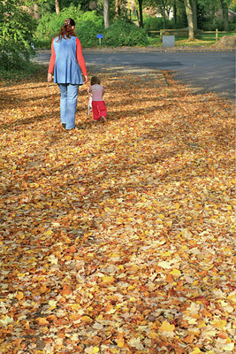 BUITEN BEELD Foto: 89583