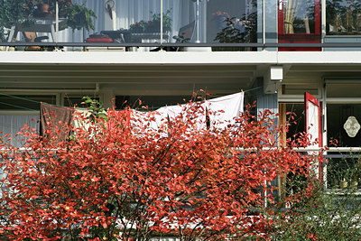 BUITEN BEELD Foto: 89584