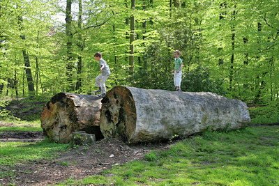 BUITEN BEELD Foto: 89604