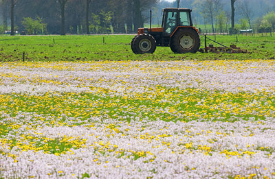 BUITEN BEELD Foto: 89613