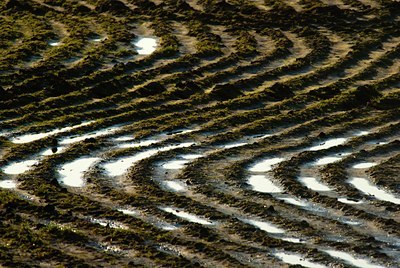 BUITEN BEELD Foto: 89615