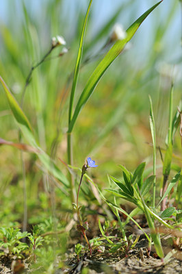 BUITEN BEELD Foto: 89636