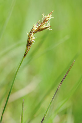 BUITEN BEELD Foto: 89638