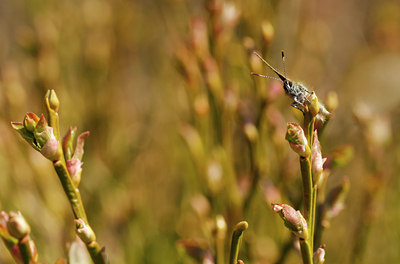 BUITEN BEELD Foto: 89652