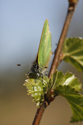 BUITEN BEELD Foto: 89656