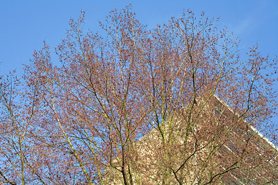 BUITEN BEELD Foto: 89678