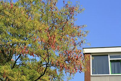 BUITEN BEELD Foto: 89745
